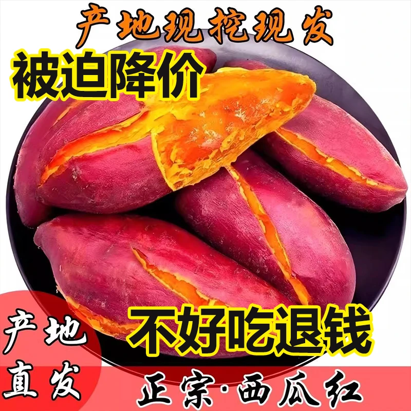 包邮现挖西瓜红蜜薯糖心流油番薯应季蜜薯农家种地瓜新鲜水果整箱