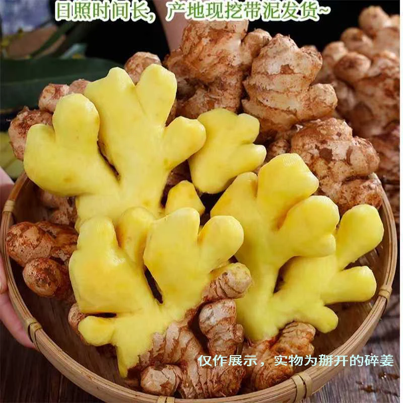 【五斤装】农家老姜生姜助农碎姜泡脚姜批发