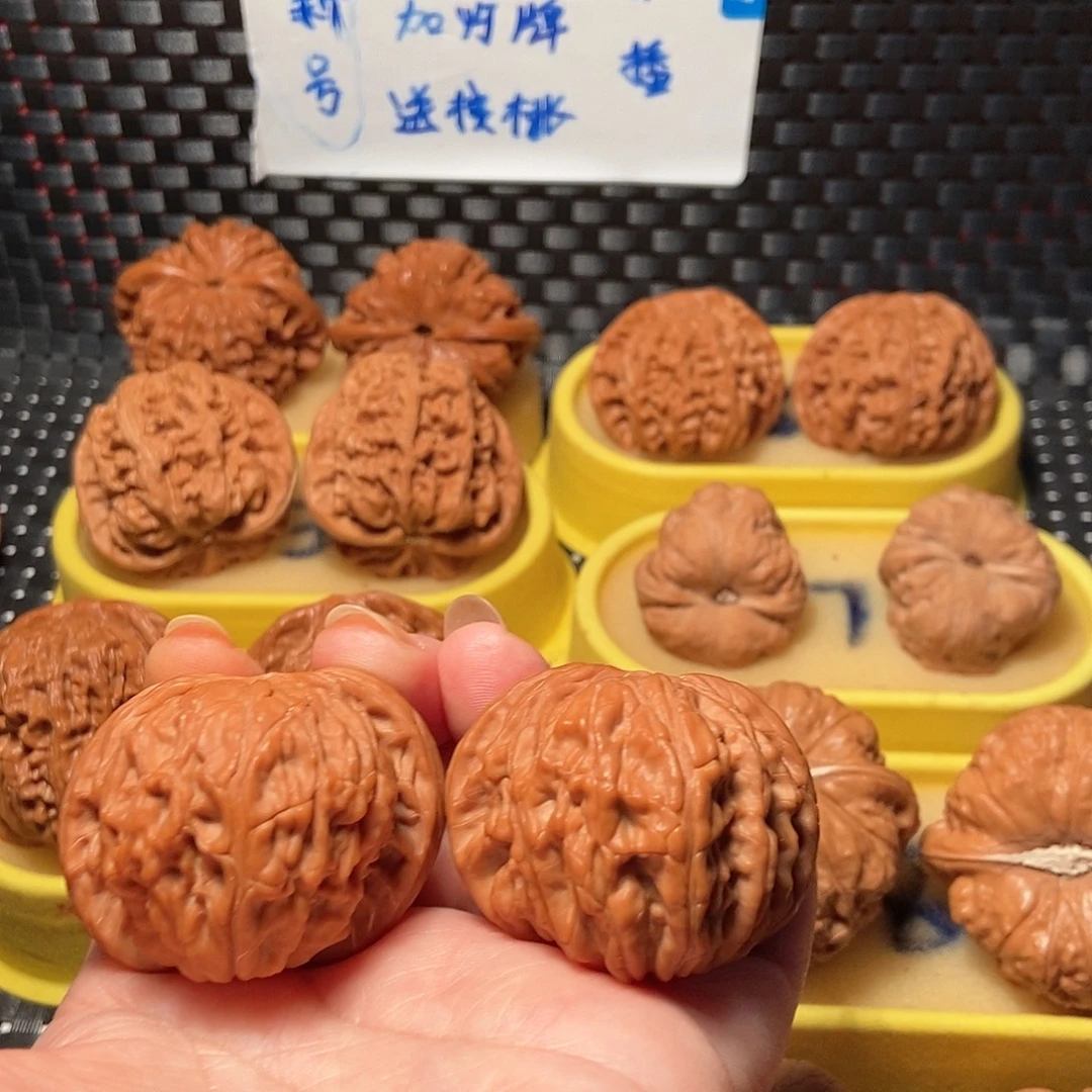 蝴蝶磨蝴蝶磨蝴蝶磨10号