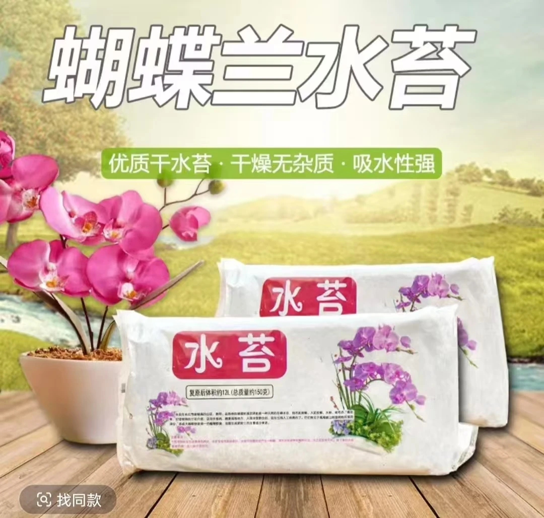 蝴蝶兰专用水苔  疏松透气保水性好优质水苔