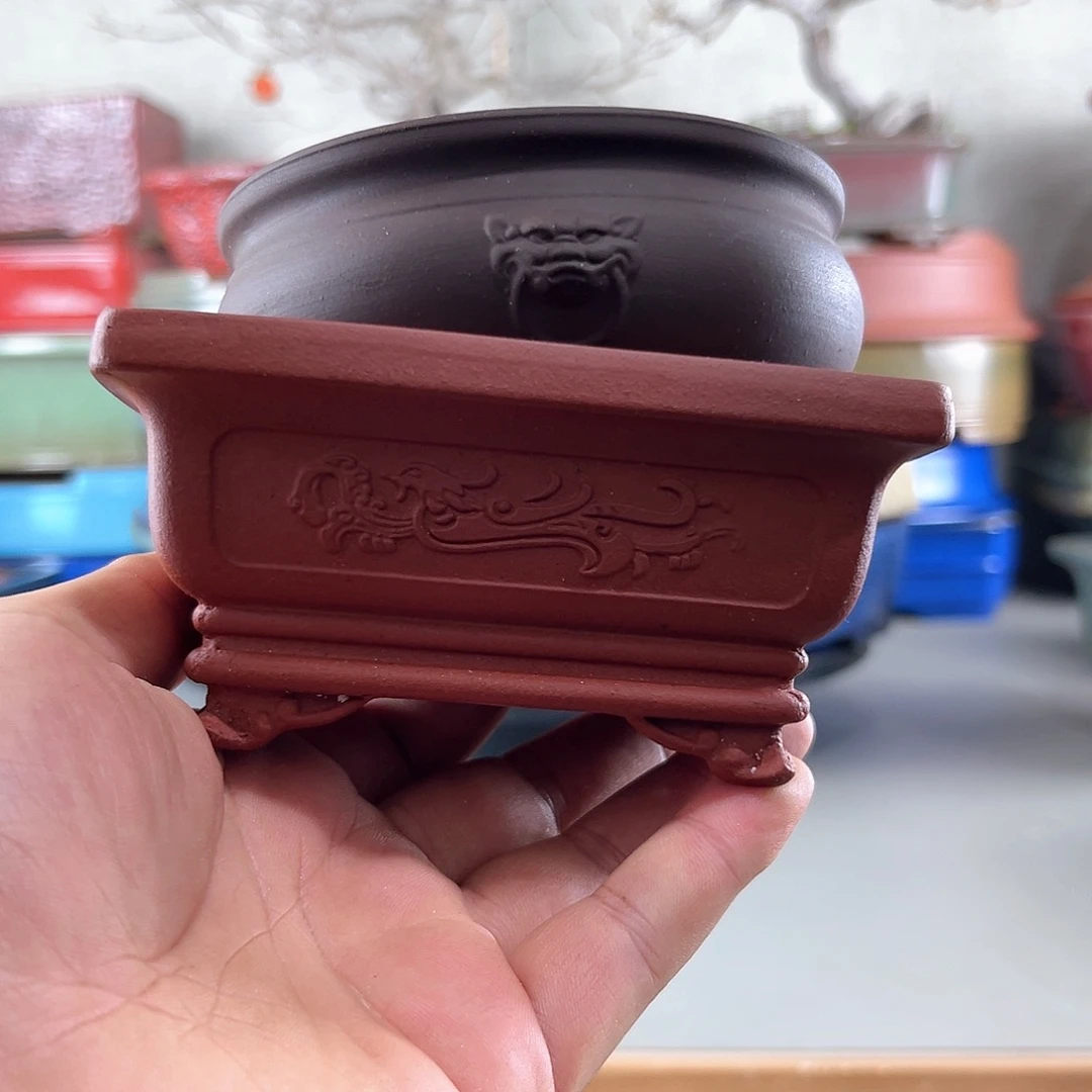 两只小微瑕不影响使用