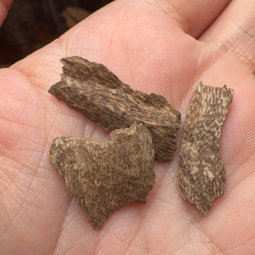 沉香正区芽庄碎料