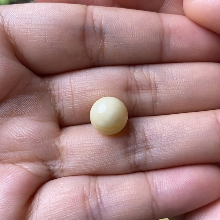 未镶嵌琥珀裸石亚*蜜蜡圆珠孔道口有个粉点