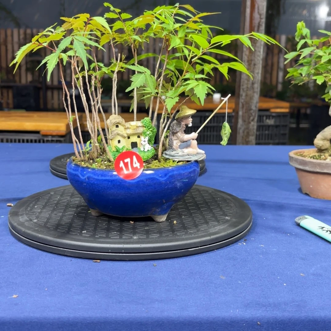 遥*大棚转让174号包邮