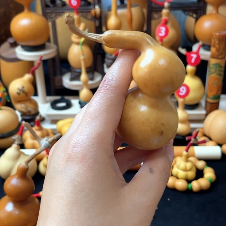 染*堂我不知道我的生活