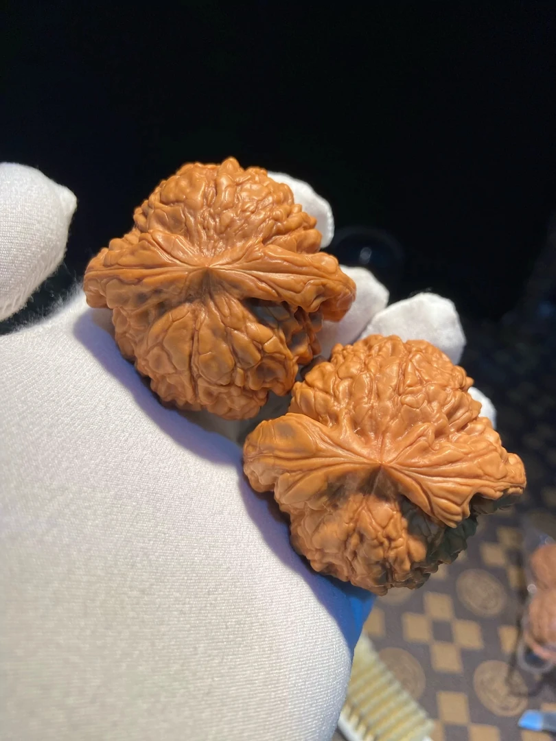 文玩核桃龙鼎官帽