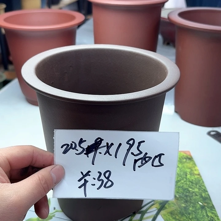 紫砂222222222222222