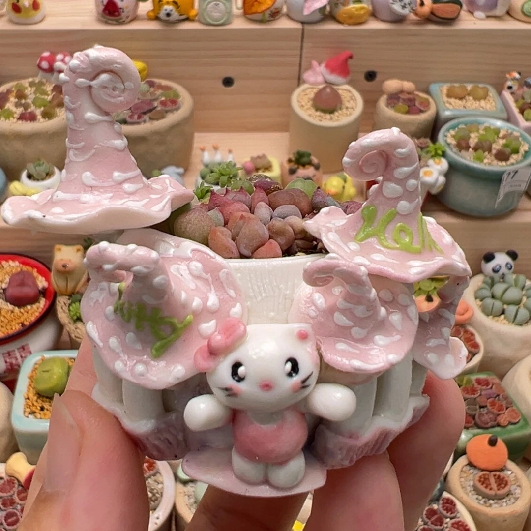 多肉植物9号花海拼盘