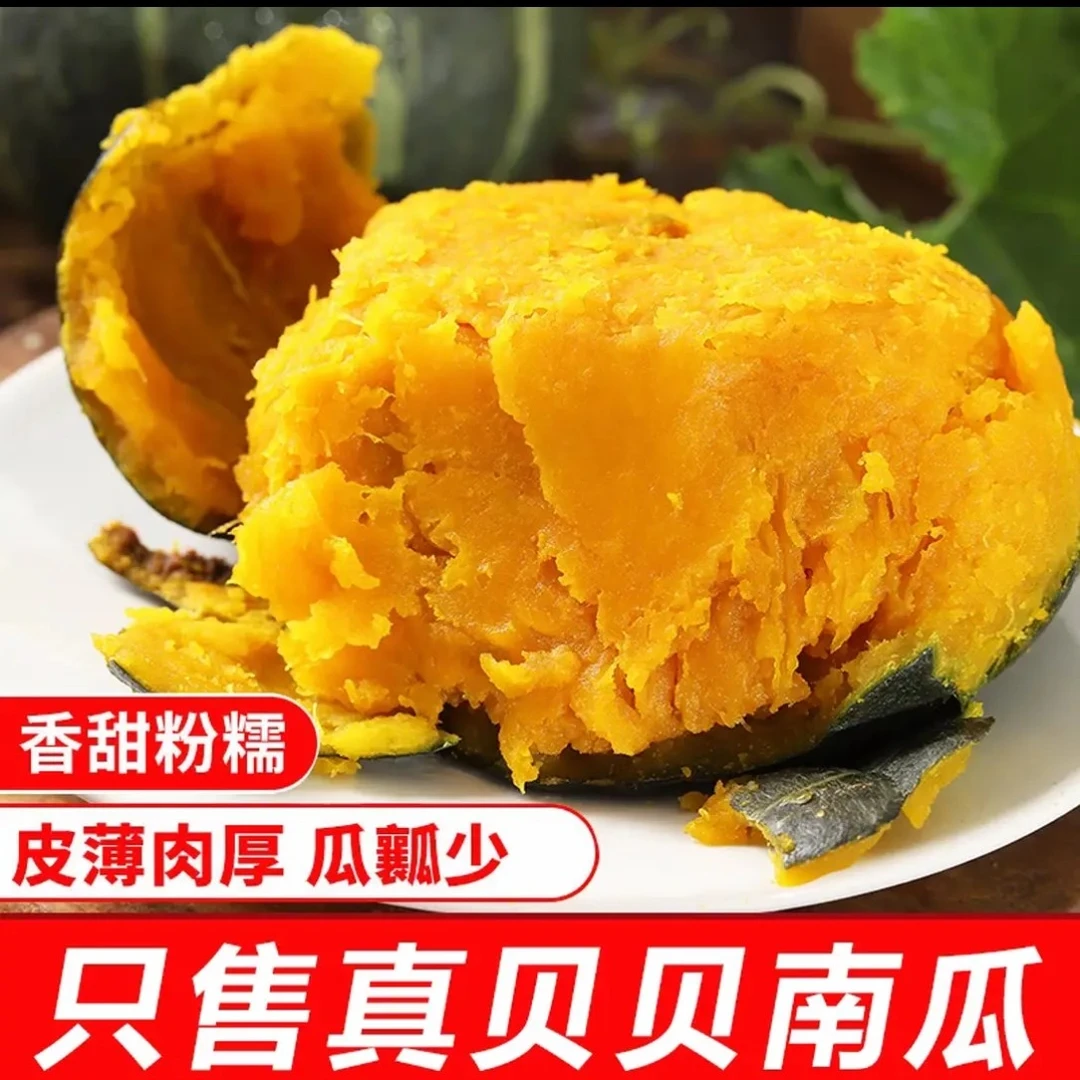 真贝贝南瓜正宗粉糯新鲜板栗味小南瓜栗面老瓜婴儿孕妇粉糯整箱