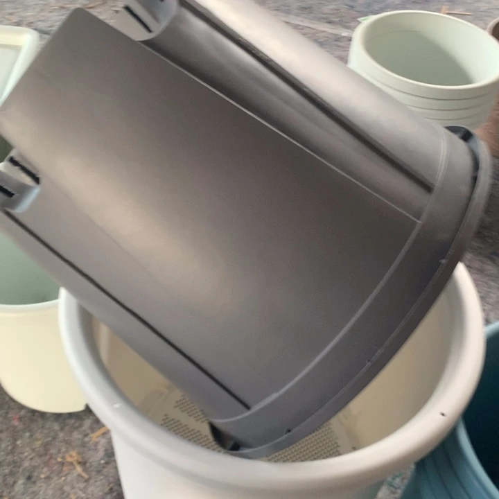 是**啊41口蓝莓专用1个无托