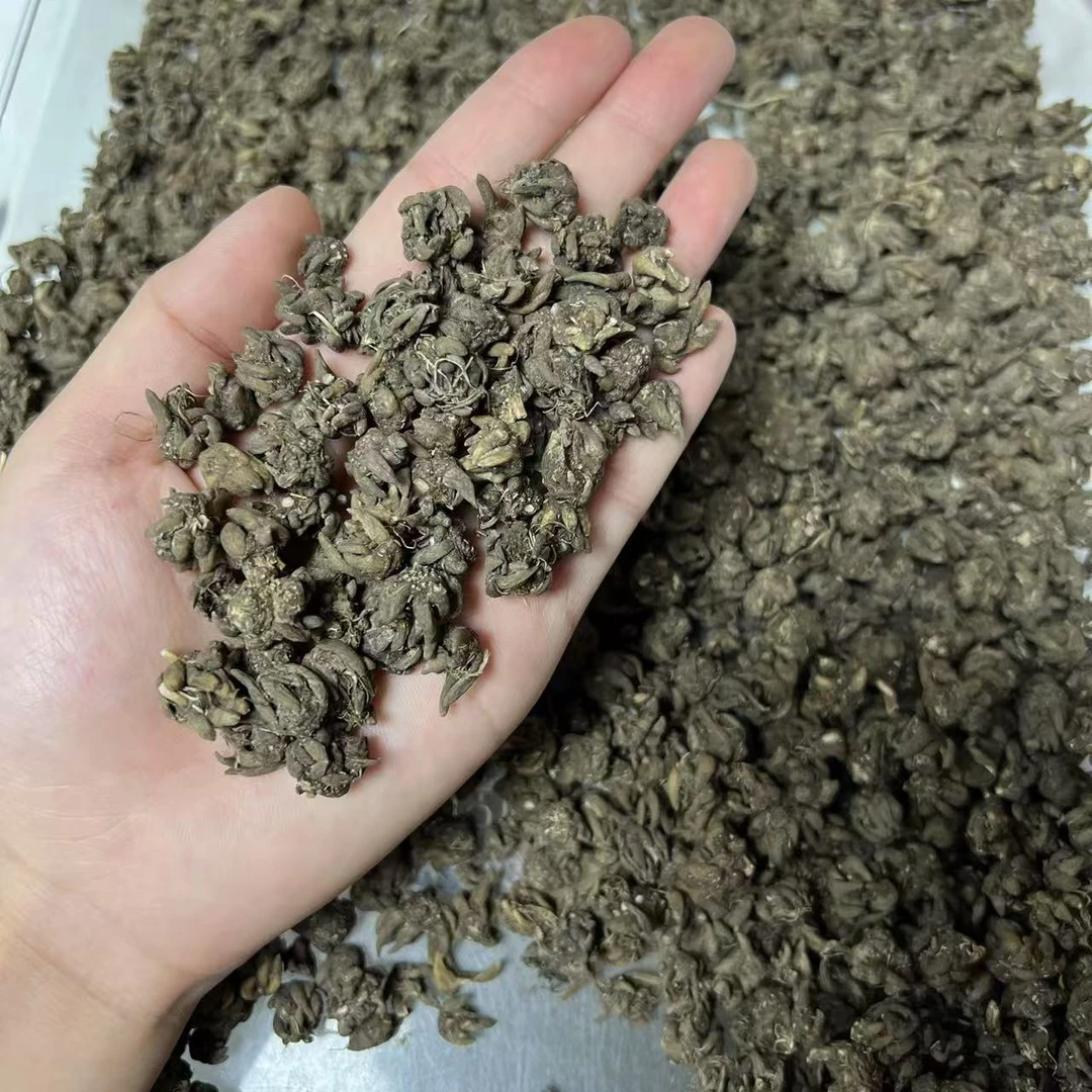 猫爪草正品野野货6号
