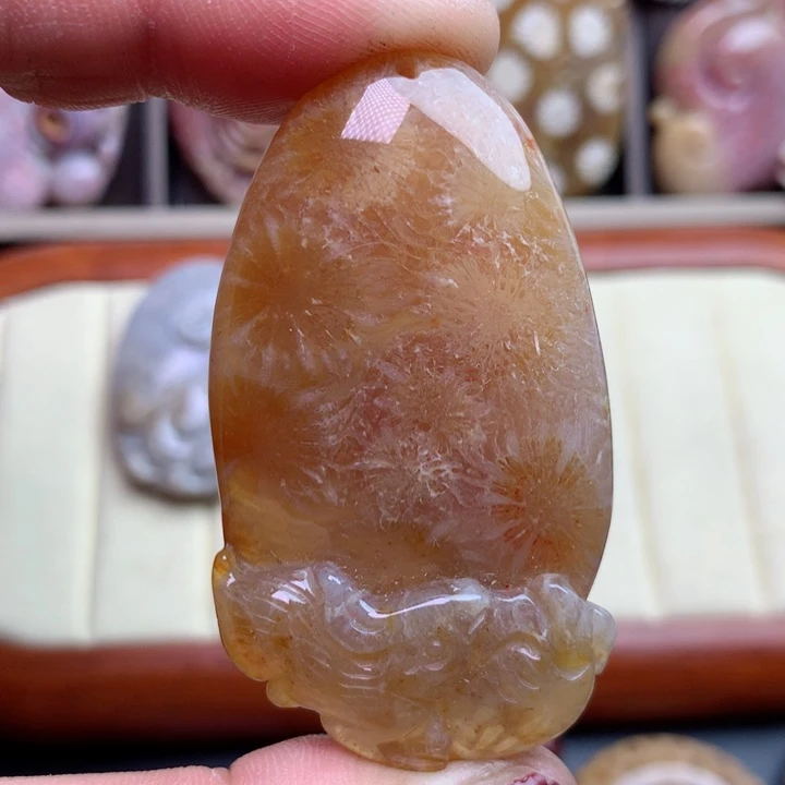 硅化珊瑚（珊瑚玉）颈饰未镶嵌