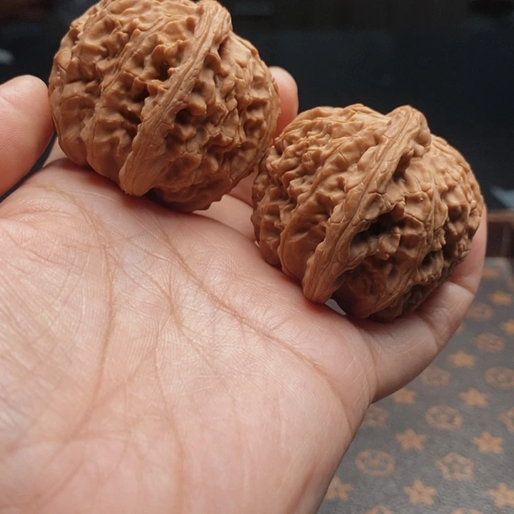 把件文玩核桃白狮子42尺