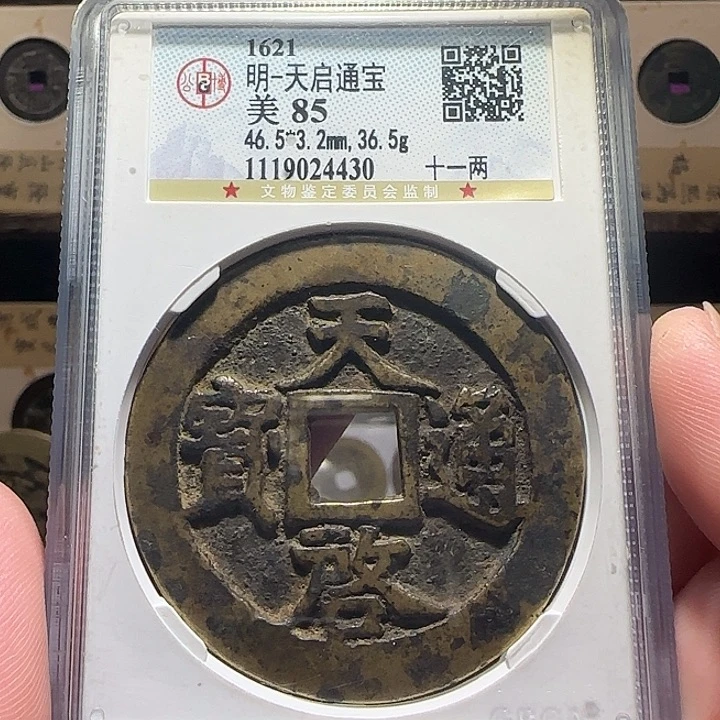 铜天启十一两，维知