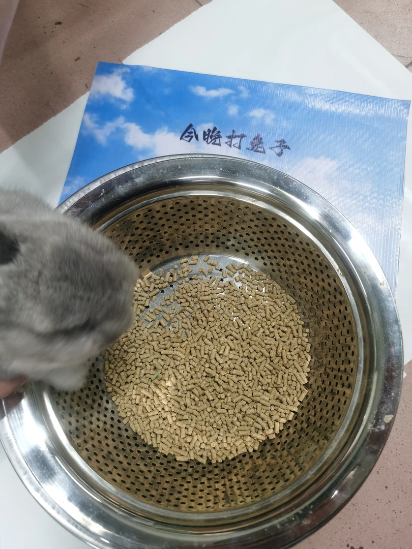 兔粮食兔饲料小兔子粮食幼兔兔主粮荷兰猪饲料提摩西兔草宠物豚鼠