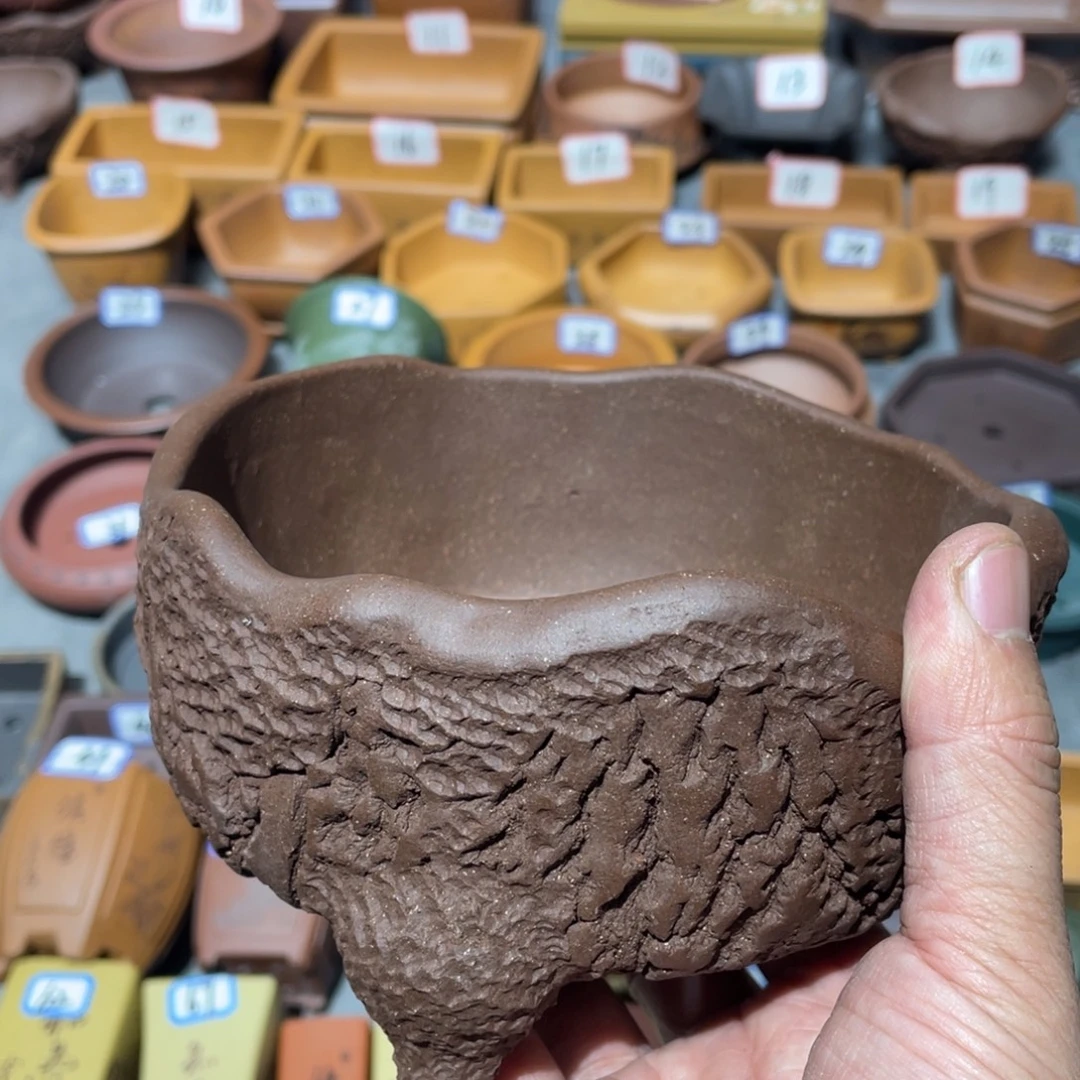 紫砂小盆13*5cmmmmm