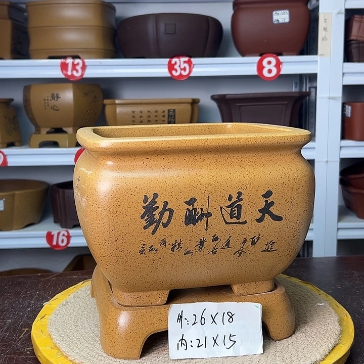 花盆紫砂你在一起