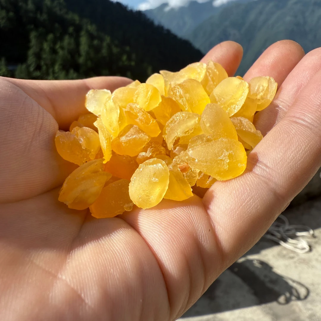高原双颊皂角米500g