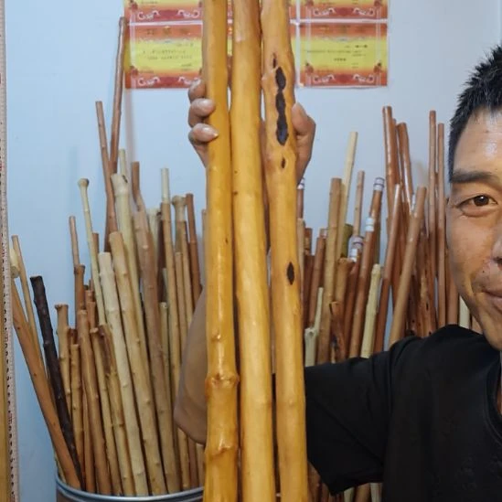 见***喜秦岭石山红荀子，牛筋木