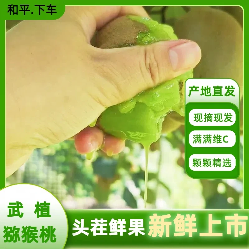 和平特产原产地直发下车猕猴桃武植绿心2.5两以上大果送礼佳品