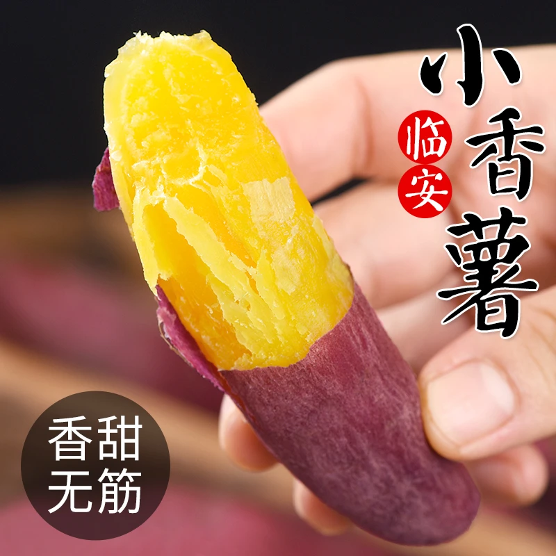 正宗临安天目山小香薯板栗红薯新鲜地瓜黄心山芋蜜薯番薯手指薯
