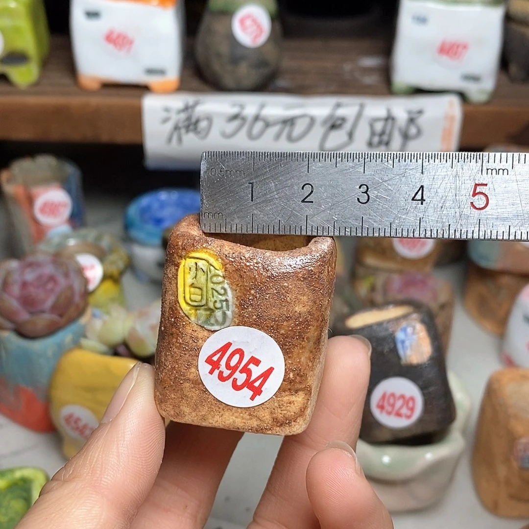 红陶透*拍3送一个小