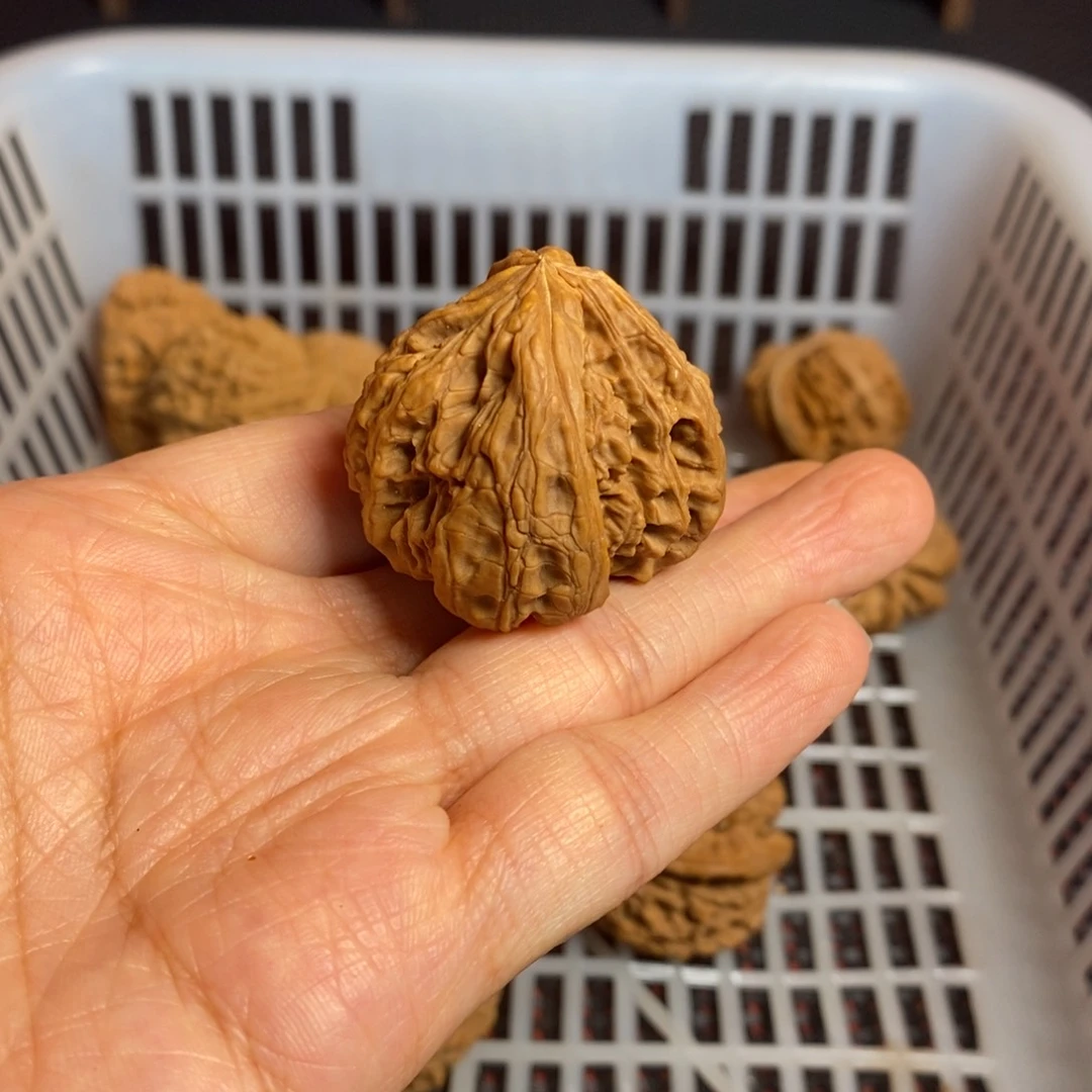 有***年文玩核桃把件文玩