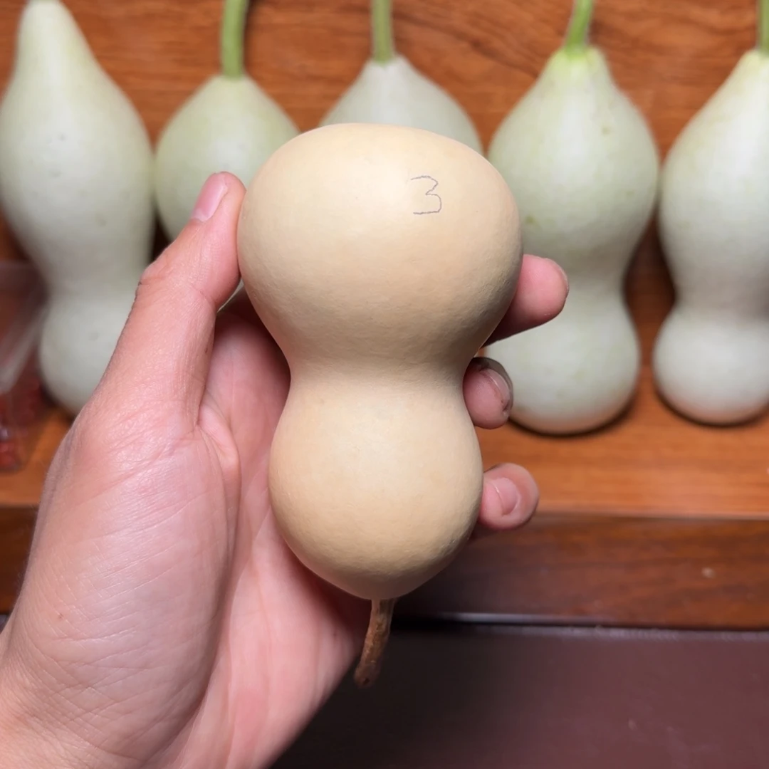 3号本长葫芦定向链接