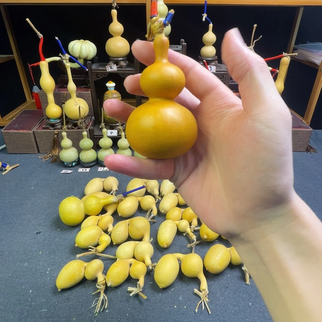 ~***~大叶紫檀（黑酸枝木类）