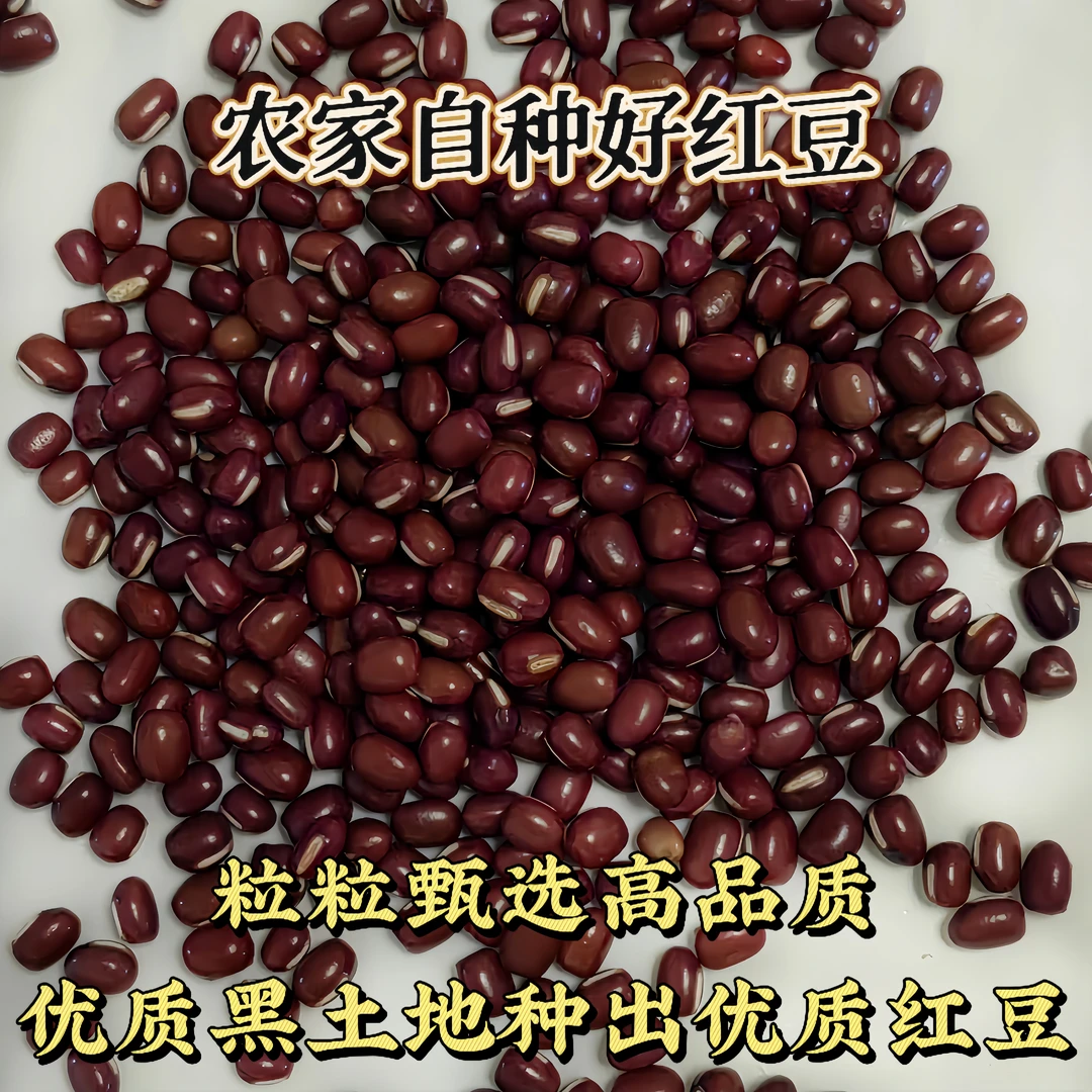 东北红小豆大粒农家自种颗粒饱满皮薄易煮出沙口感细腻豆香浓郁