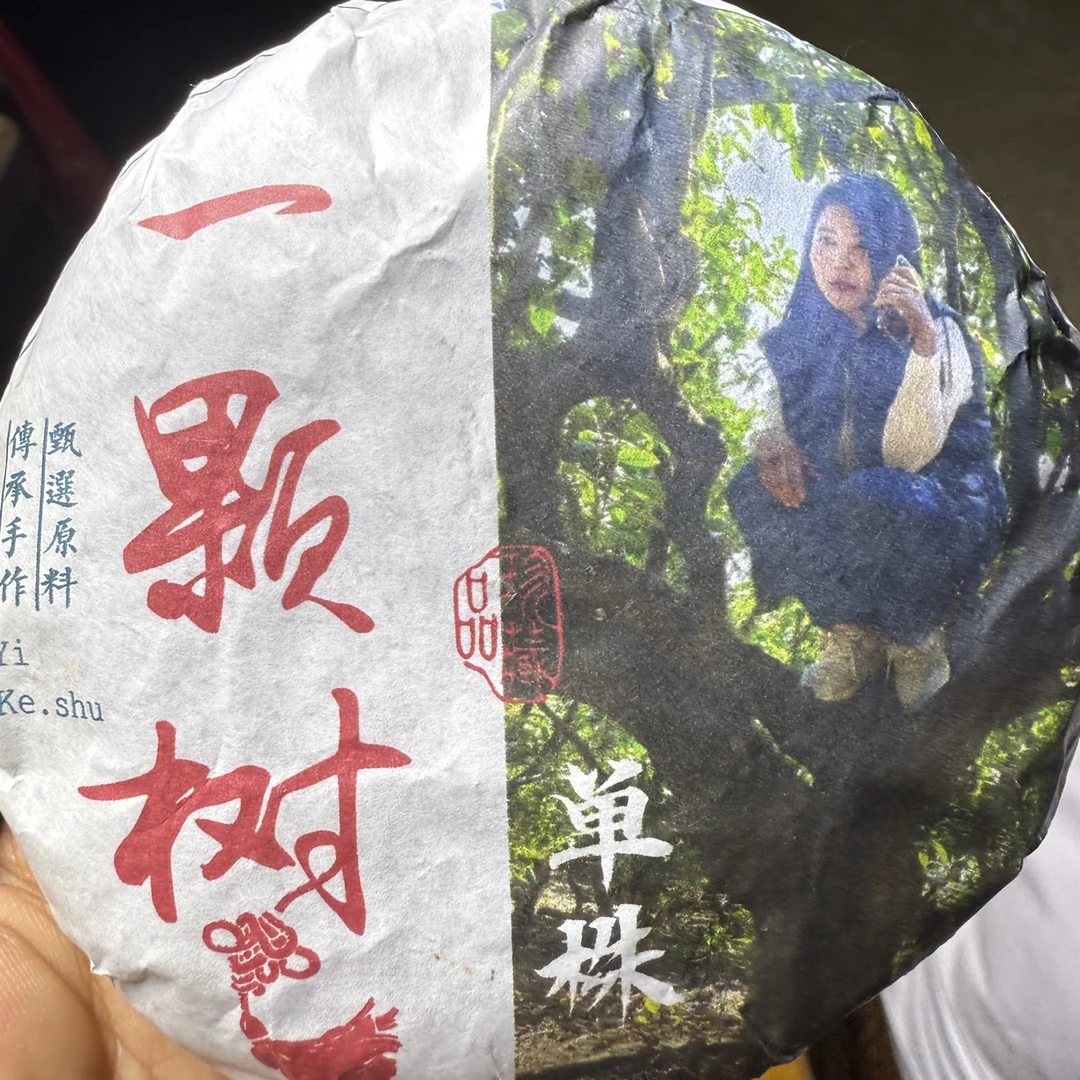 2025年云南勐库懂过头春单株100g生茶饼 8月16日 （15号)