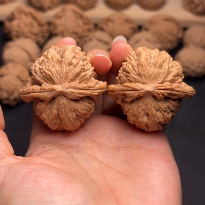 把件文玩核桃44白狮子克重49.4