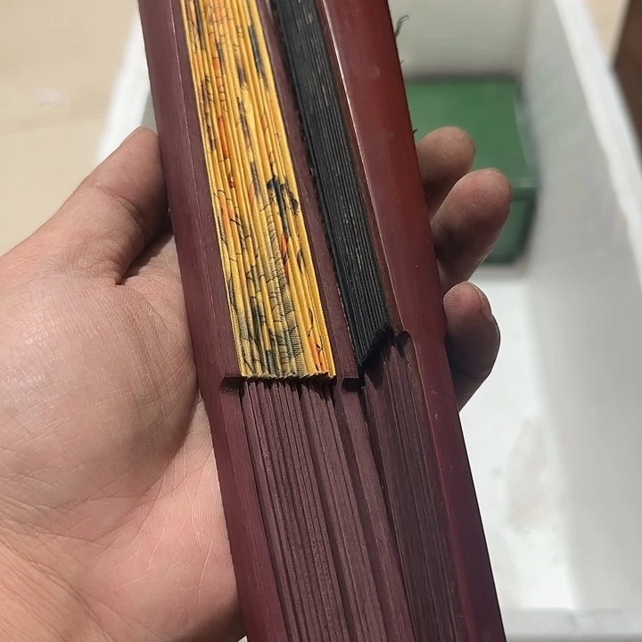 橄榄核其他孑*Chghghgggggggg