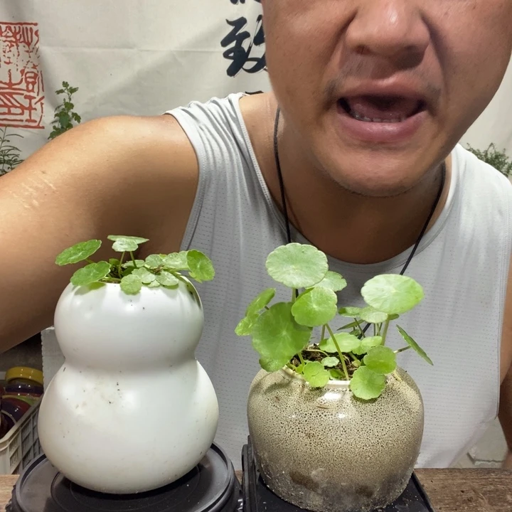 邱*邱一物一拍所见即所得281