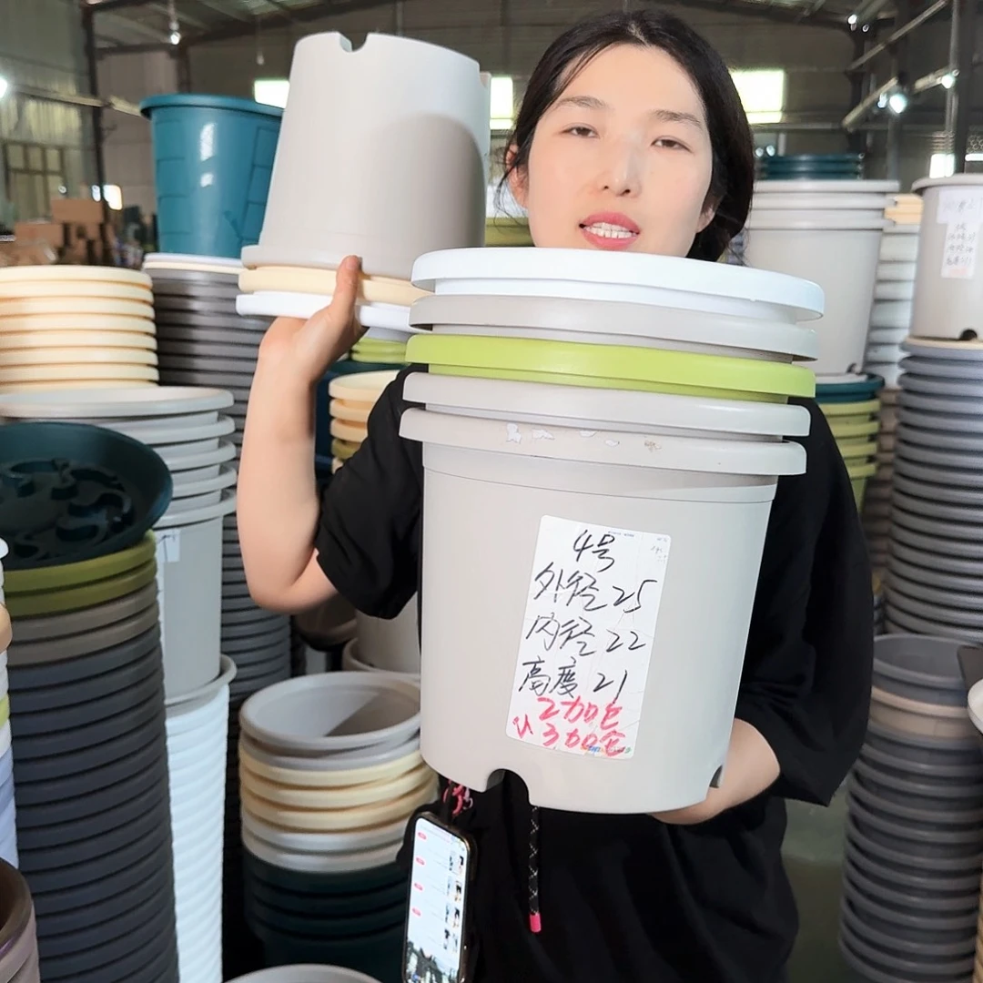 微瑕4#无拖纯白色8个