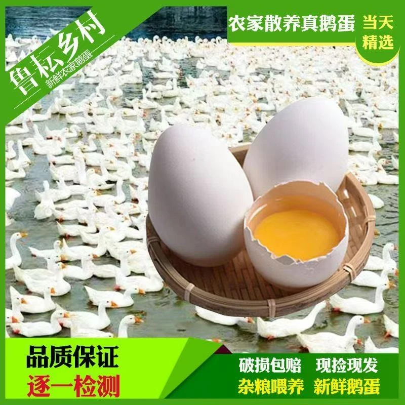 农家散养新鲜正宗新鲜土鹅蛋孕妇老人小孩生鹅蛋当天鲜蛋现捡现发
