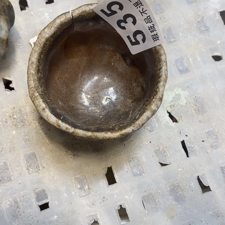 杯饿的我想吐啊宝子