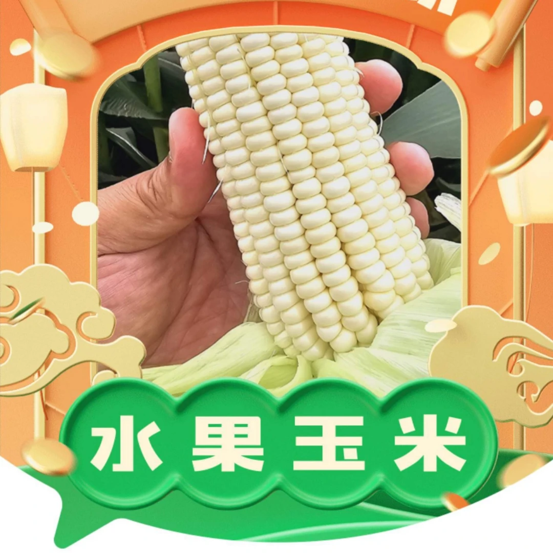 贵州玉屏鲜食玉米牛奶水果玉米甜嫩爽口软糯爆汁新鲜采摘鲜棒