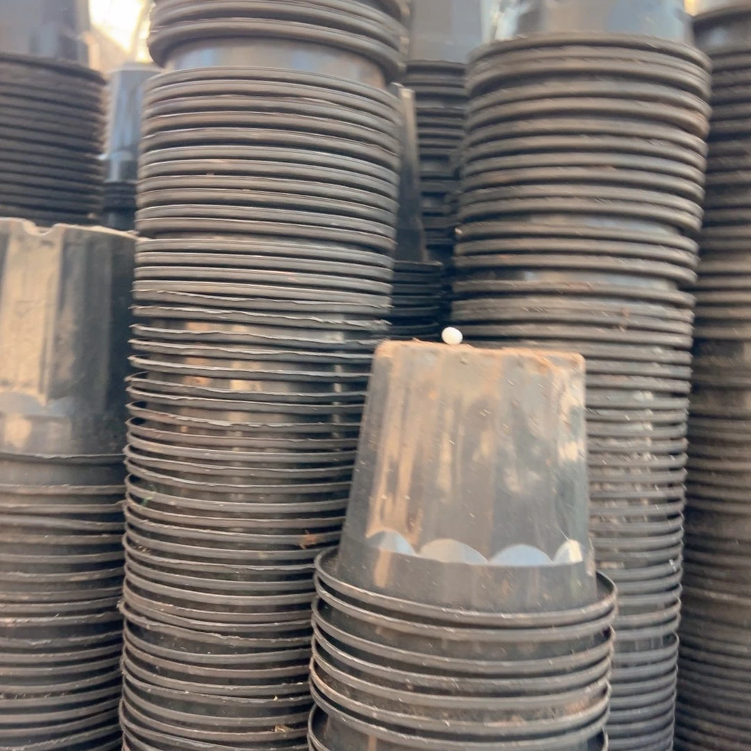 黑砖盆16口径13高 50个