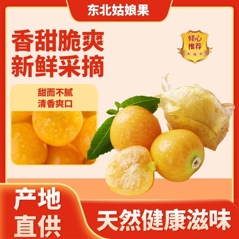 东北姑娘果新鲜当季特产水果清甜多汁灯笼果