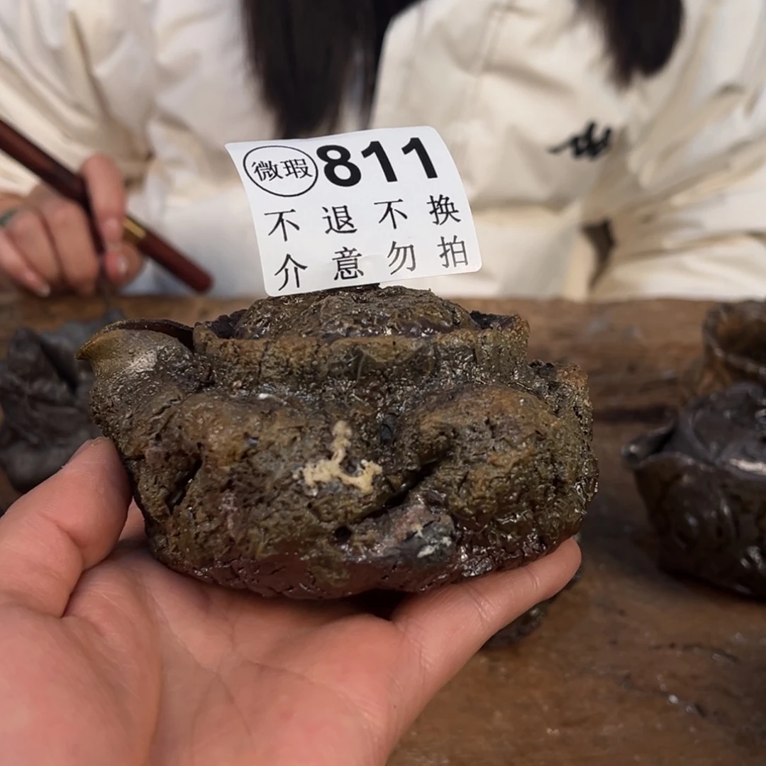 壶一一一一一一一一811