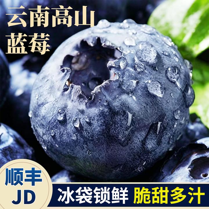 S1【顺丰京东】云南蓝莓当季新鲜脆甜水果应季鲜果12-22m