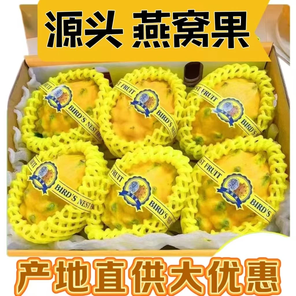 【产地优惠】燕窝果麒麟果礼盒新鲜多汁当季香甜营养黄皮火龙果大果
