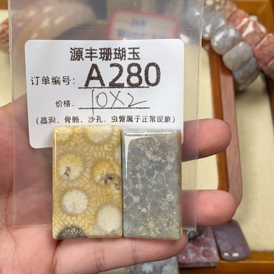 无***像未镶嵌颈饰硅化玉