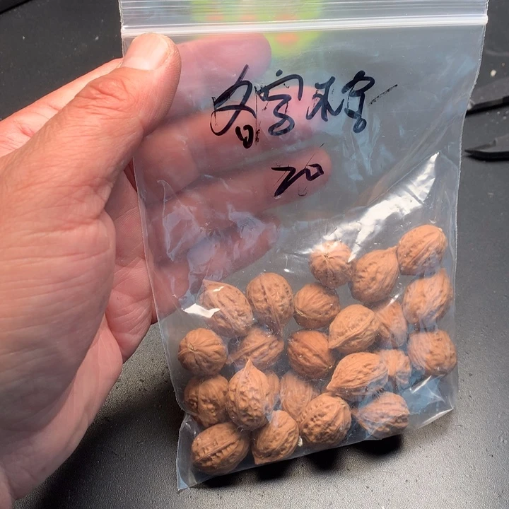 文玩核桃吊坠名****全野生精品小核桃散籽