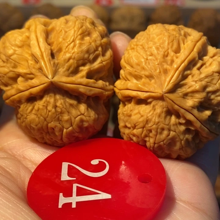 冯*杰铁核桃七星三棱40尺寸