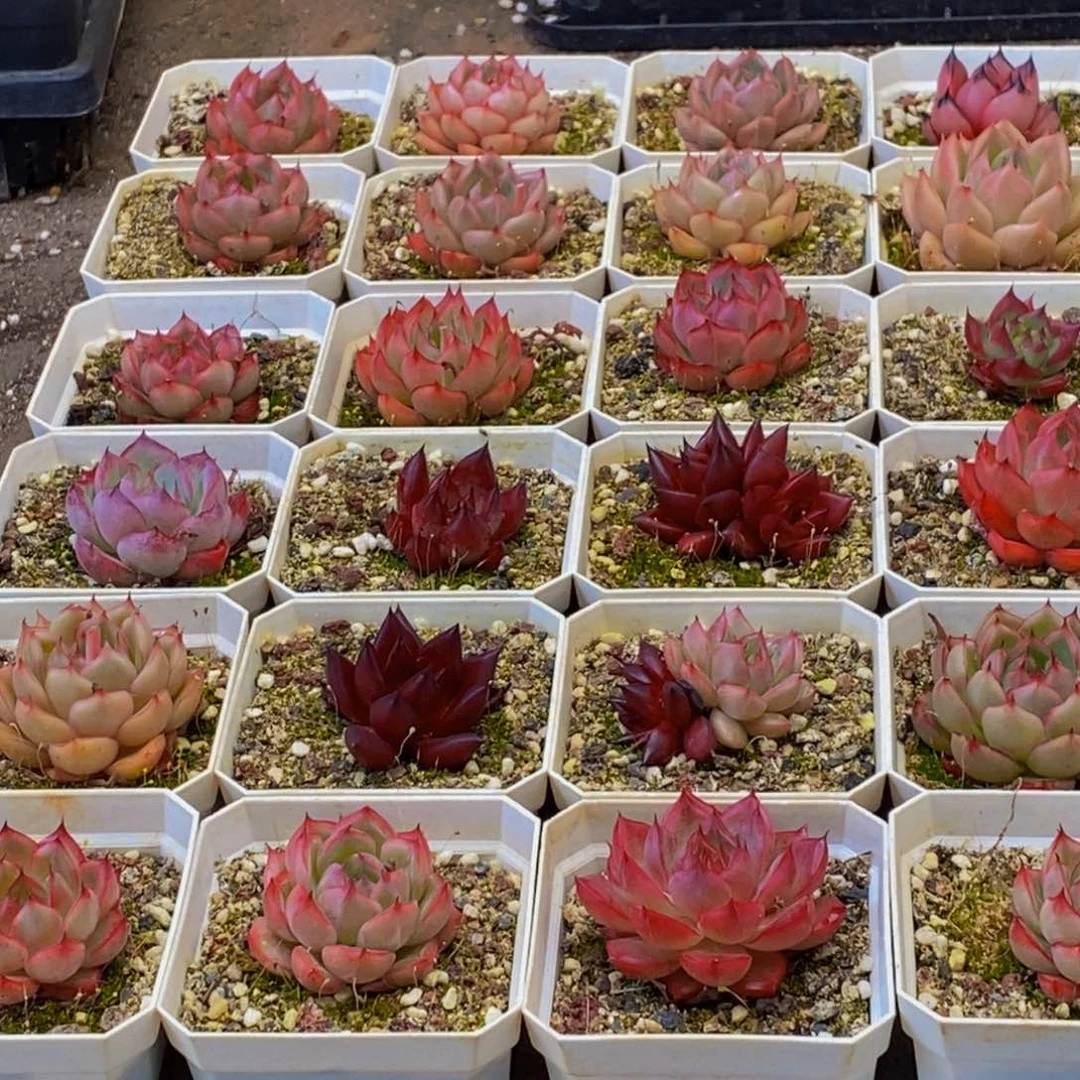 h****h442的人在一起的时候就会觉得