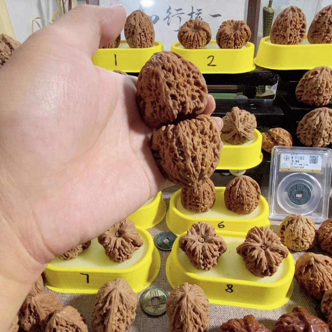 木质类南疆一代红皮大凹