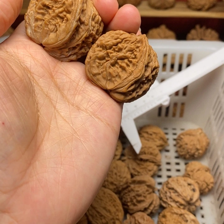 褚***壮文玩核桃把件文玩