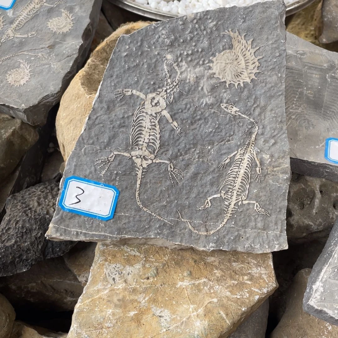 石材33333333333333333333